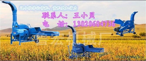 青貯與秸稈加工新利器 噴青貯揉搓機與大型鍘草機的應(yīng)用與飼料市場展望